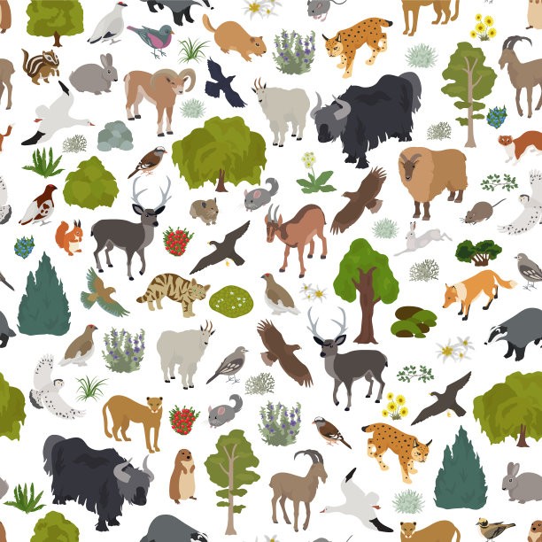 天衣无缝的亚平素冻原生物群自然区域图片下载