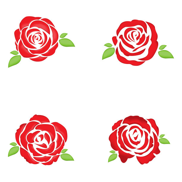 玫瑰和叶子孤立在白色背景上图片下载