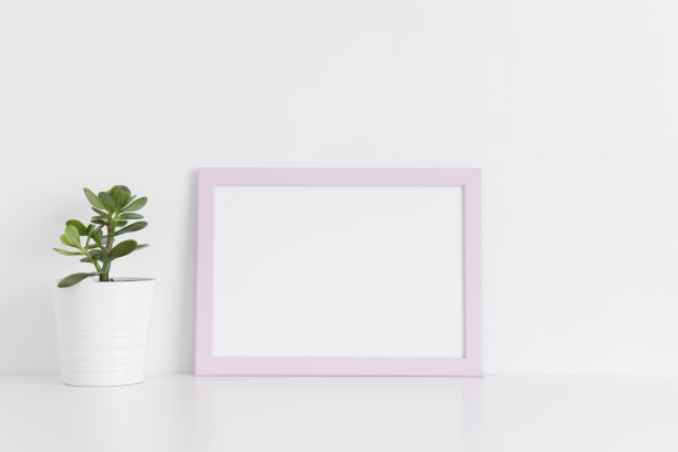 粉红色框架模型与一株蓝藻植物在一个花盆在白色的桌子上。横向。图片下载