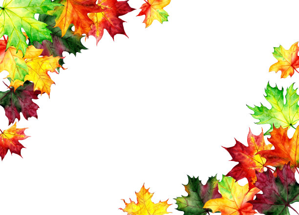 背景，水彩枫叶海报。秋天的设计模板。手绘的风格。插图图片下载