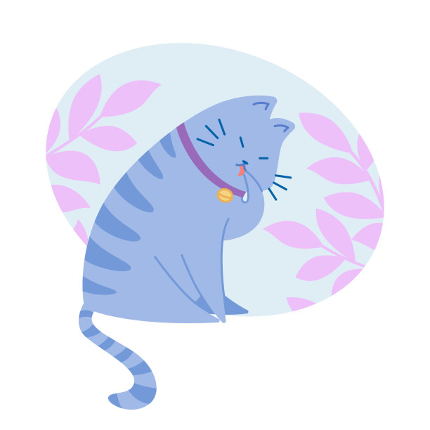 可爱的cat4图片下载