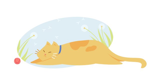 可爱的cat3图片下载