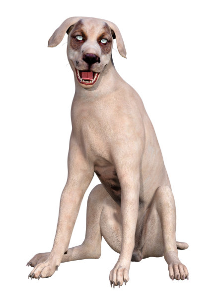 3D插图杂交狗在白色图片下载