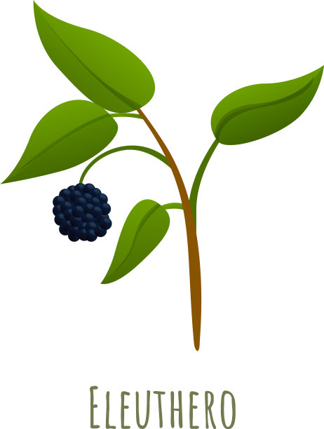 刺五加草卡通风格图标图片下载