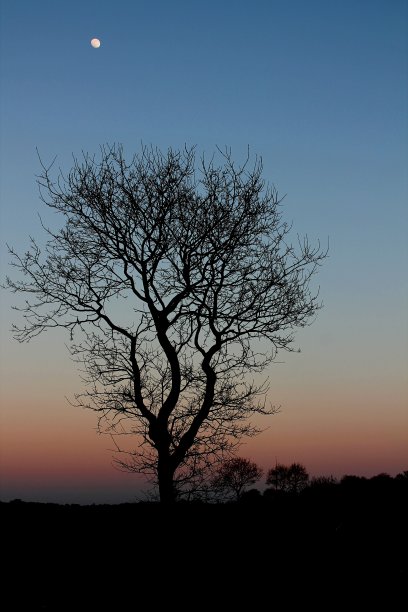 日落之后图片下载