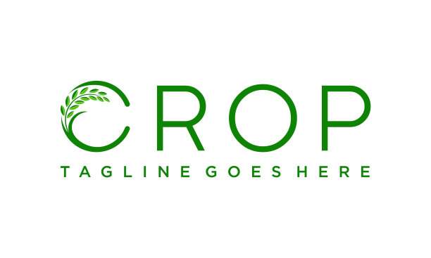 水稻或小麦农业标志设计理念图片下载