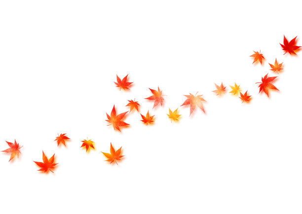 日本枫木水彩纹理插图图片下载