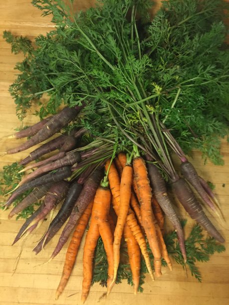 出售新鲜的传家宝胡萝卜图片下载