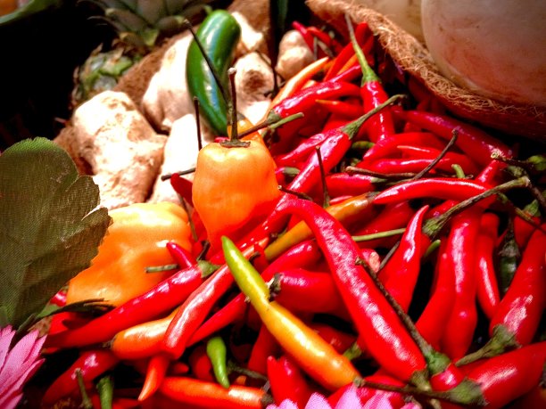 各种辣椒，咖喱叶，姜，菠萝图片下载