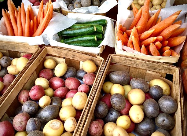 农贸市场新鲜收获的根菜和紫菜图片下载