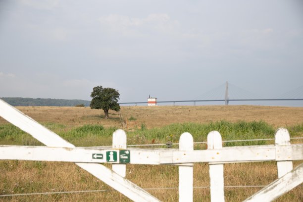 美丽的Bogø灯塔图片下载