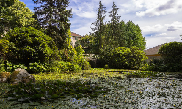 住宅区的小湖图片下载