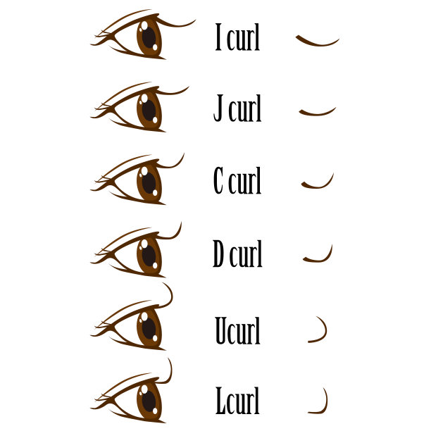类型的睫毛。矢量图图片下载