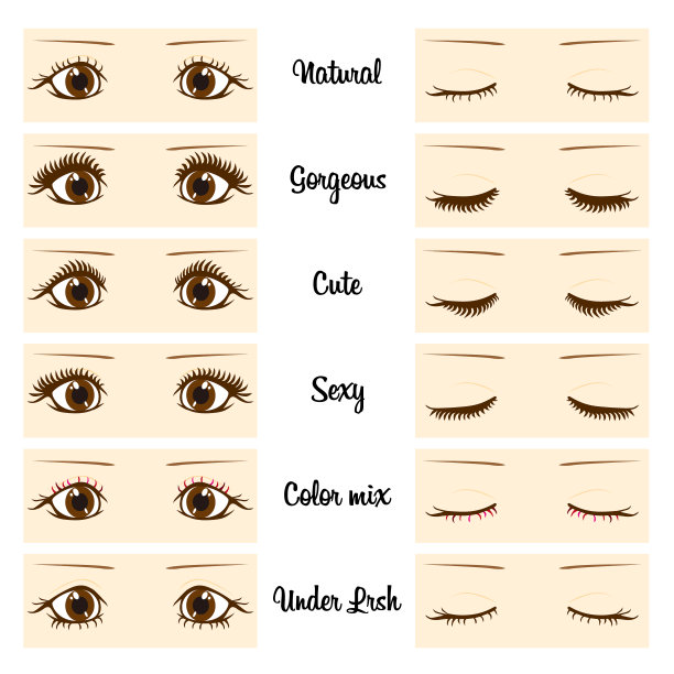 睫毛的类型。矢量图图片下载