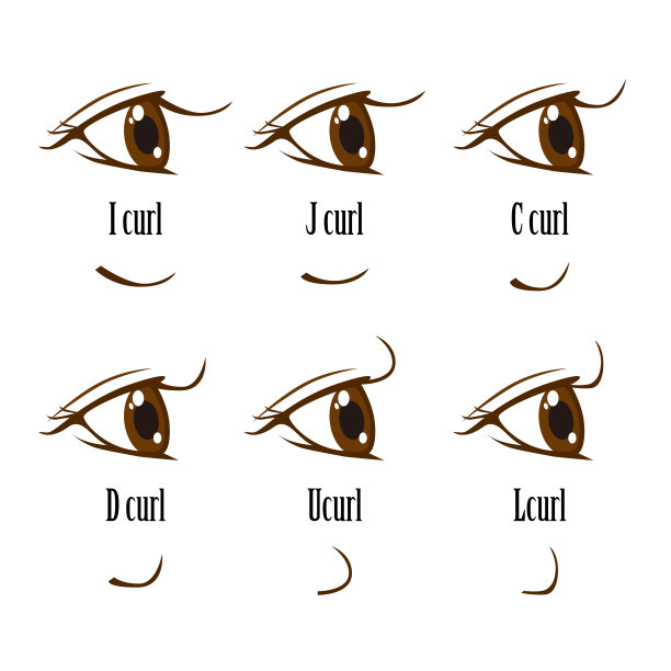 类型的睫毛。矢量图图片下载