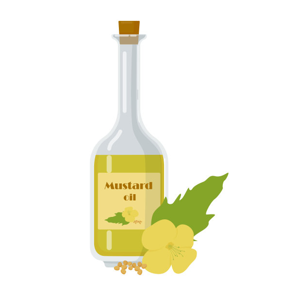 芥末油在玻璃瓶中隔离白色图片下载