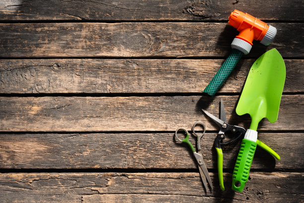 园艺的背景。图片下载