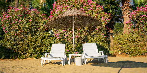 沙滩上的两张白色日光浴床和一把木制雨伞图片下载