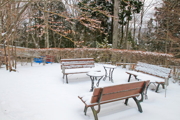 冬季室外花园被雪覆盖图片下载