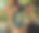 年轻女子在冒险绳索公园。登山设备。图片下载