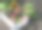 收集和收获秋季农产品-菜园-向日葵，花园胡萝卜，土豆，黄瓜和甜菜在一个盒子图片下载