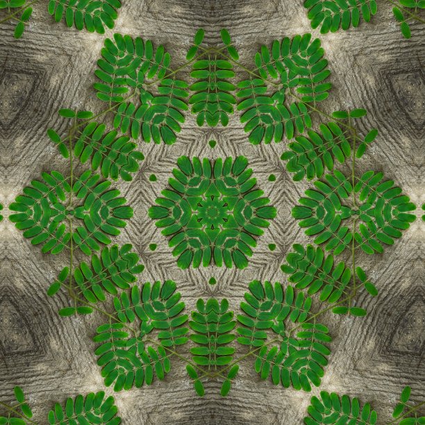 绿叶抽象万花筒设计背景形象图片下载