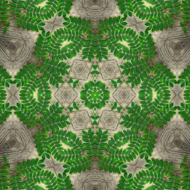 绿叶抽象万花筒设计背景形象图片下载