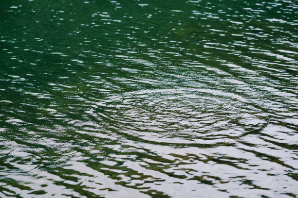 水圈在湖中。图片下载