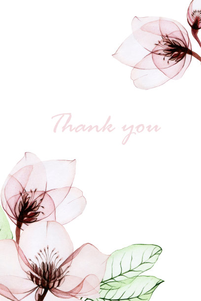 水彩框架与透明花柔和的颜色，粉红色和绿色。长方形贺卡、婚礼请柬设计。复古设计，逼真的透明花朵图片下载