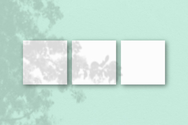 3张方形的白色纹理纸在浅绿色的墙壁背景上。模型覆盖的植物阴影。自然光在外来植物上投下阴影。平躺，俯视图图片下载