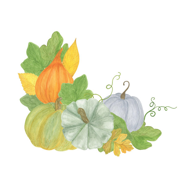 秋天的元素安排与南瓜，绿色和黄色的叶子季节性的秋天假期水彩花卉插图，构成万圣节和感恩节图片下载