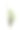 Mega pack of 6 in 1 of tree isolated on white background。图片下载