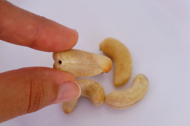 女人的手握着腰果。图片下载