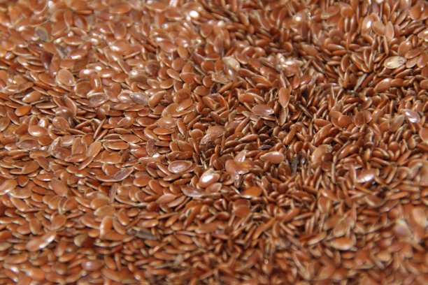 亚麻籽图片下载