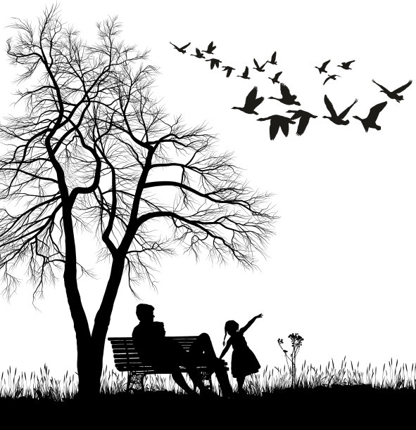 年轻的家庭在公园里看野鹅图片下载