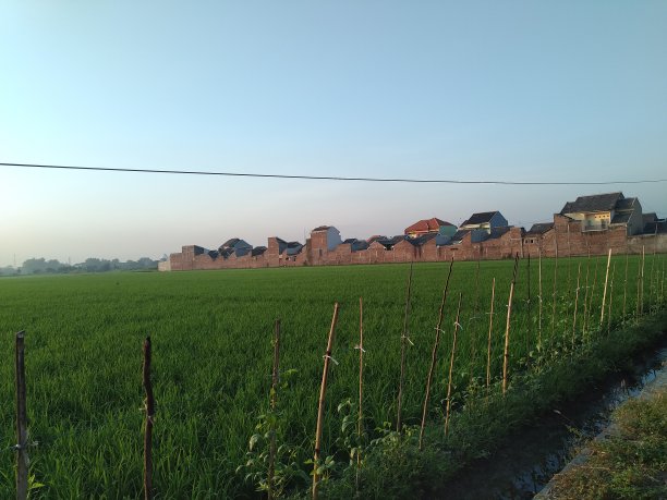 稻田里的日出图片下载