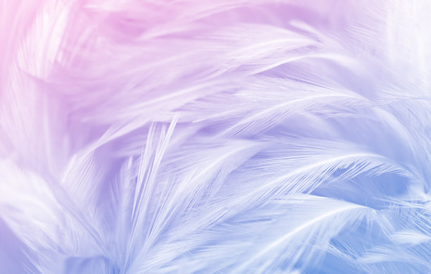 微距照片美丽柔软的紫色羽毛复古纹理线背景。图片下载