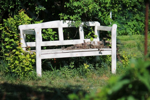 公园里被树木环绕的白色小长凳图片下载