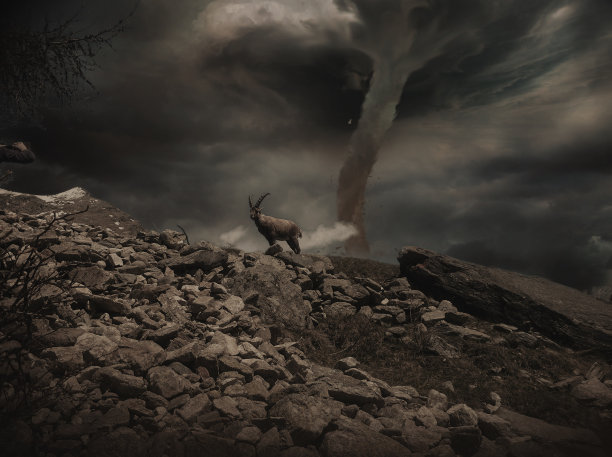 捻线机图片下载