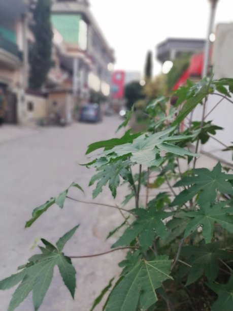 工厂专注图片下载