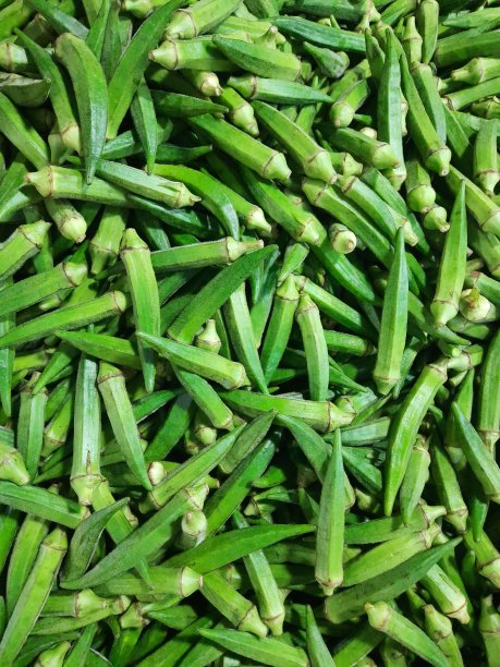 女士的手指图片下载