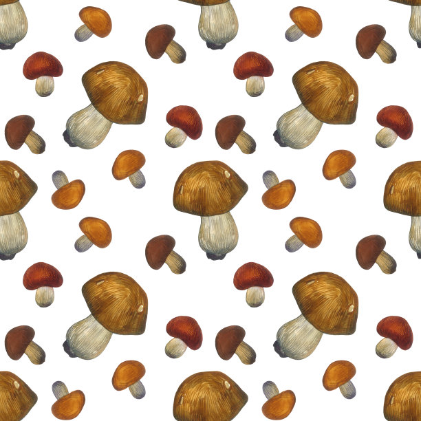 无缝模式与蘑菇在白色的背景。秋天收集。图片下载