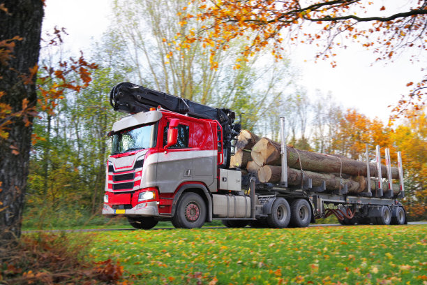 木材运输图片下载