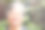快乐亚洲女子在花园的肖像。老女性亚洲女士的形象微笑着看着相机。开朗大方的老祖母戴着眼镜在屋外放松。图片下载