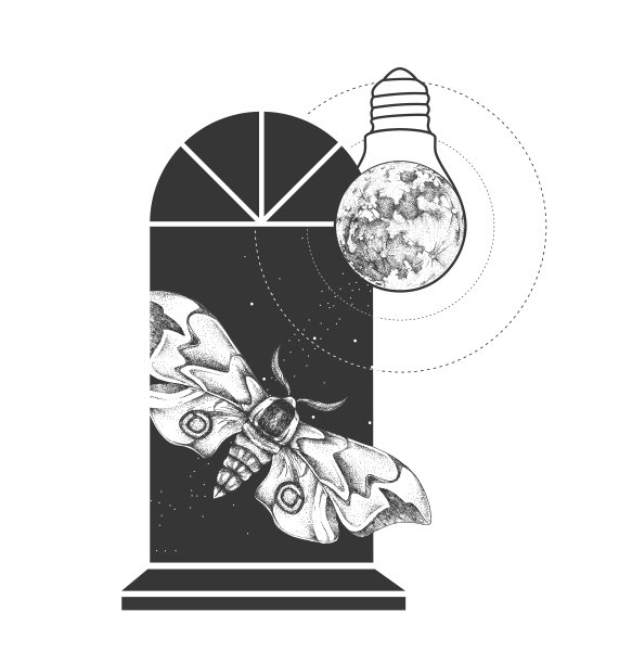 神奇的魔法窗户剪影与蝴蝶和满月灯泡。矢量图图片下载
