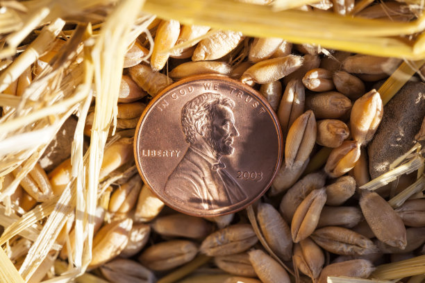 美国硬币是美分图片下载