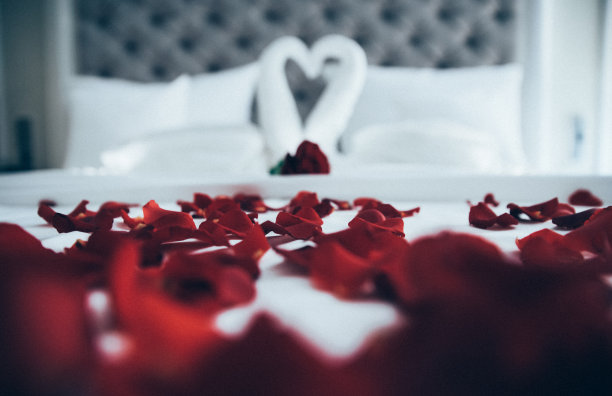 床上覆盖着玫瑰花瓣和毛巾天鹅在背景-浪漫的逗留图片下载