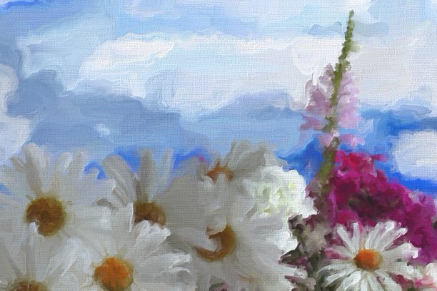 在天空背景上的雏菊的明信片插图。图片下载