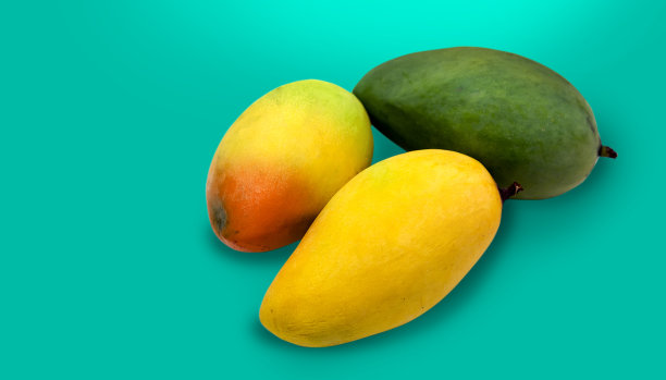 隔离于亚洲的白色芒果的种族图片下载