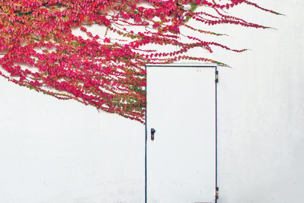 瑞德到了门口图片下载